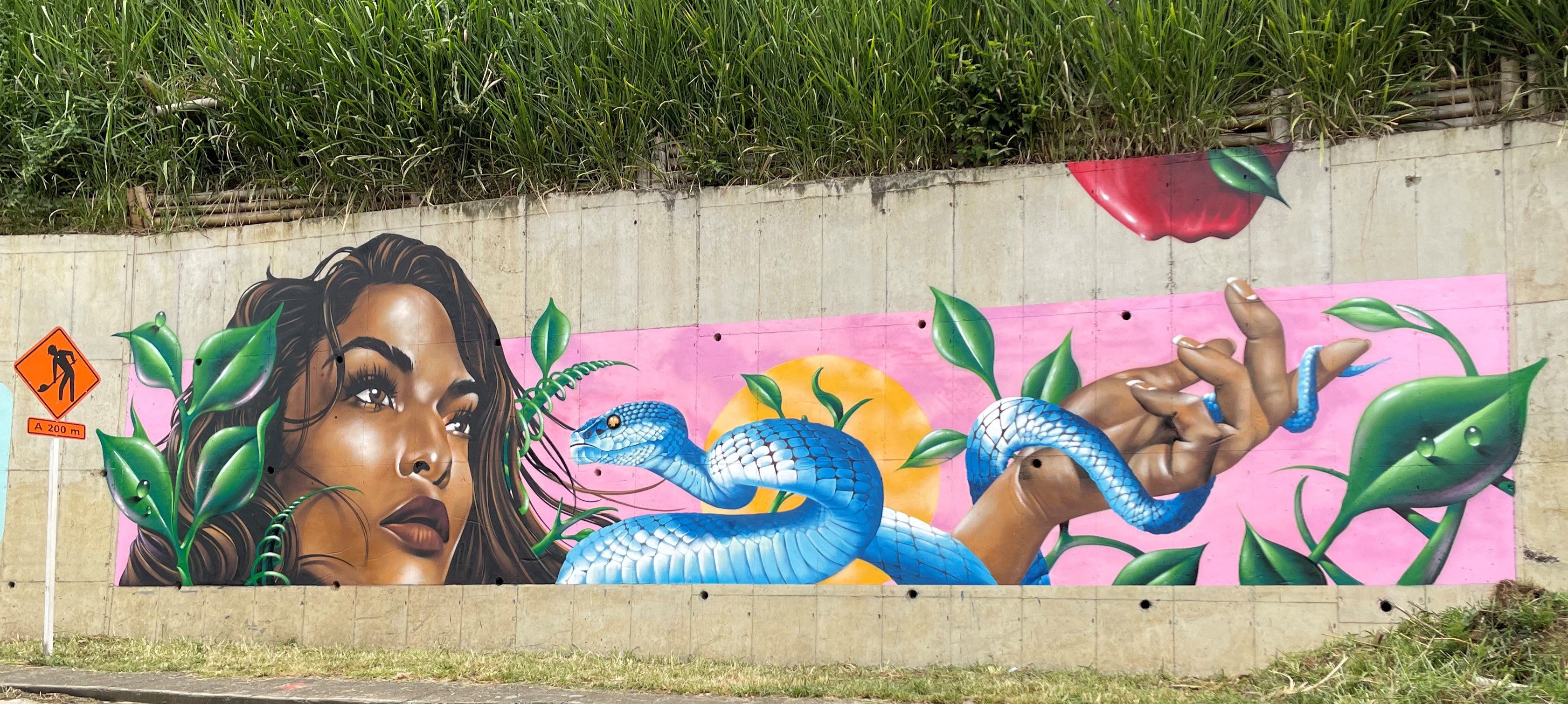 A mural of a woman and snake on the side of a wall.