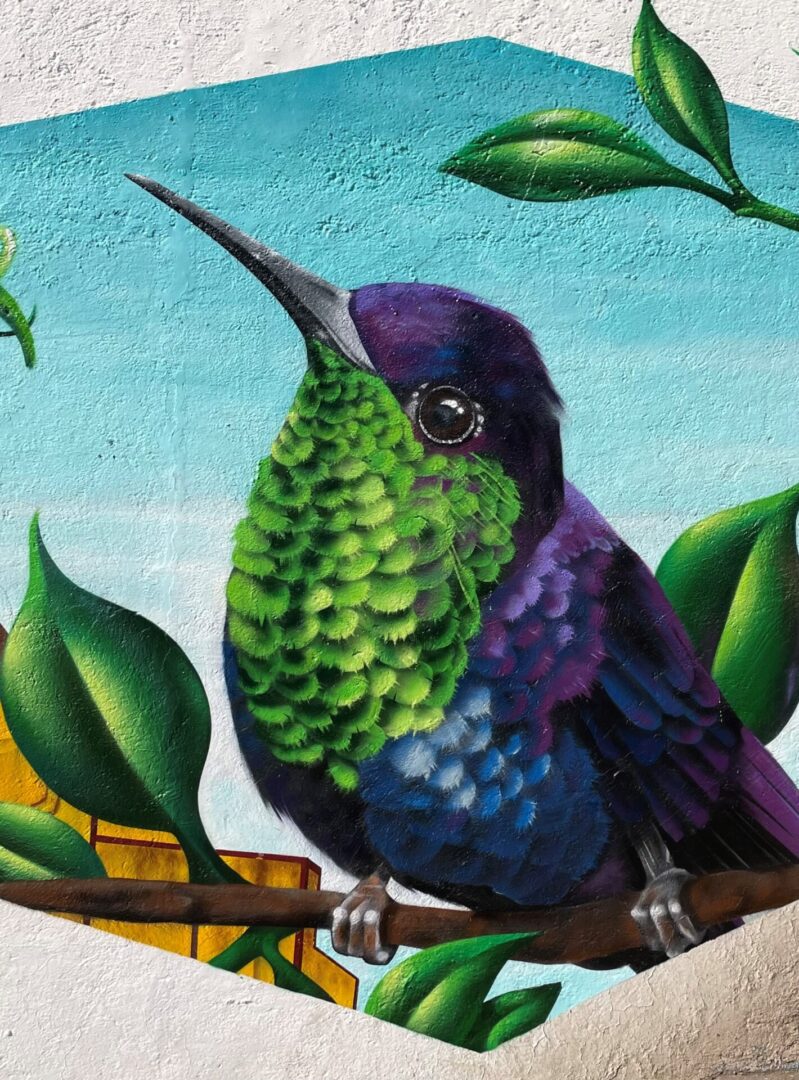 A painting of a hummingbird sitting on the branch.