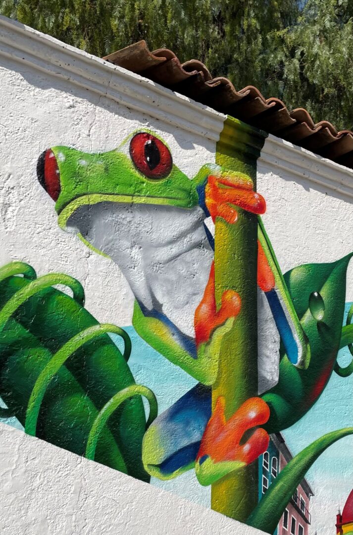 A close up of the face of a frog painted on a wall.