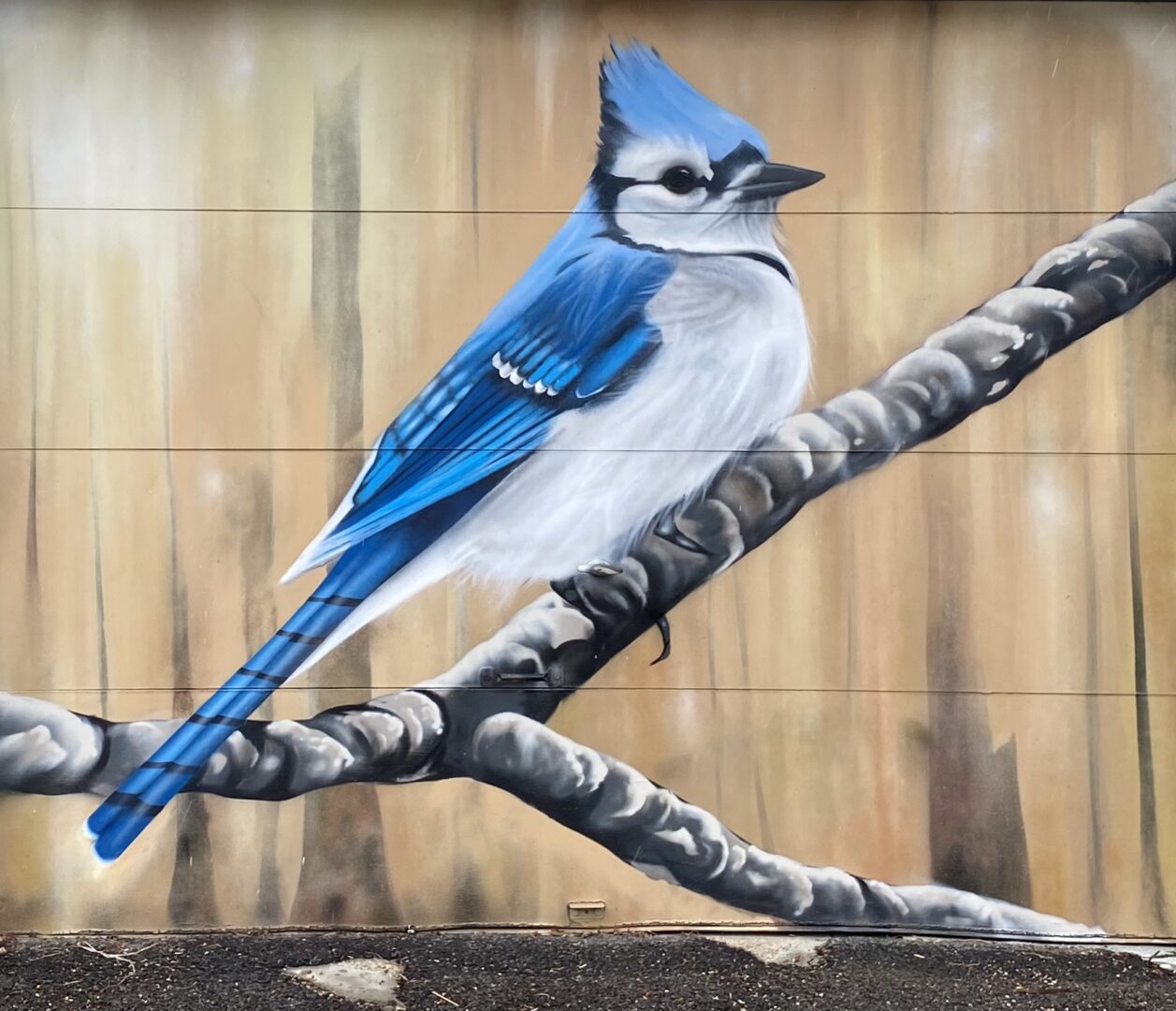 A blue bird sitting on top of a tree branch.