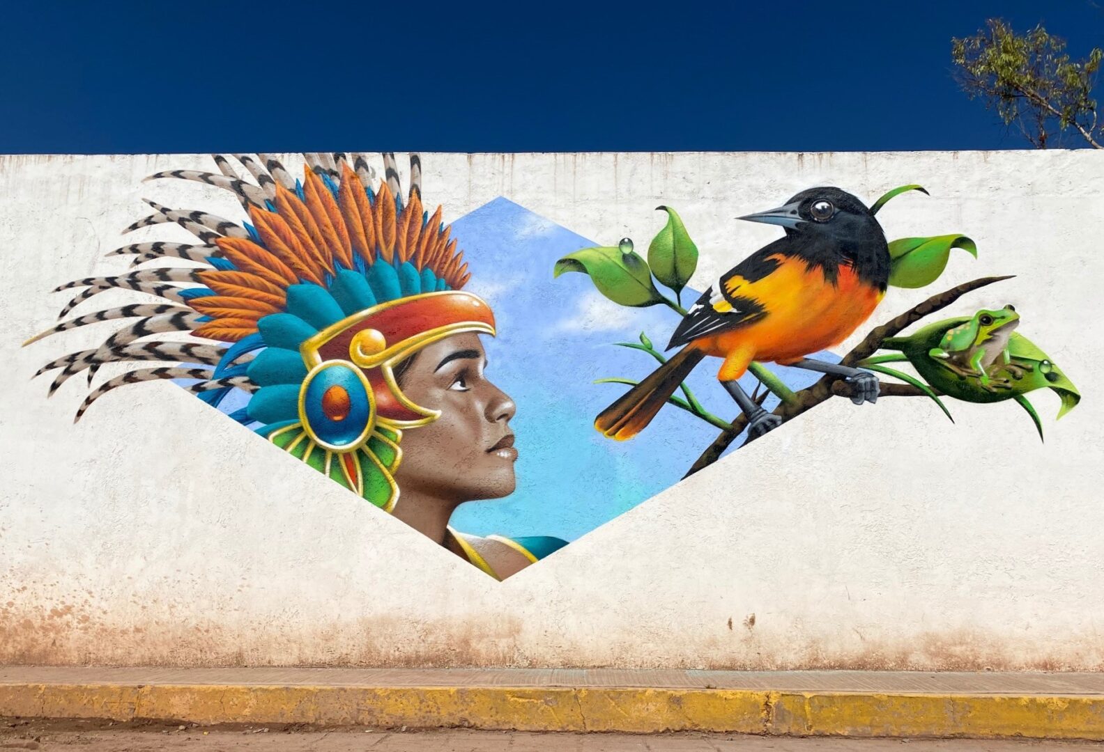 A mural of an indian woman and a bird.