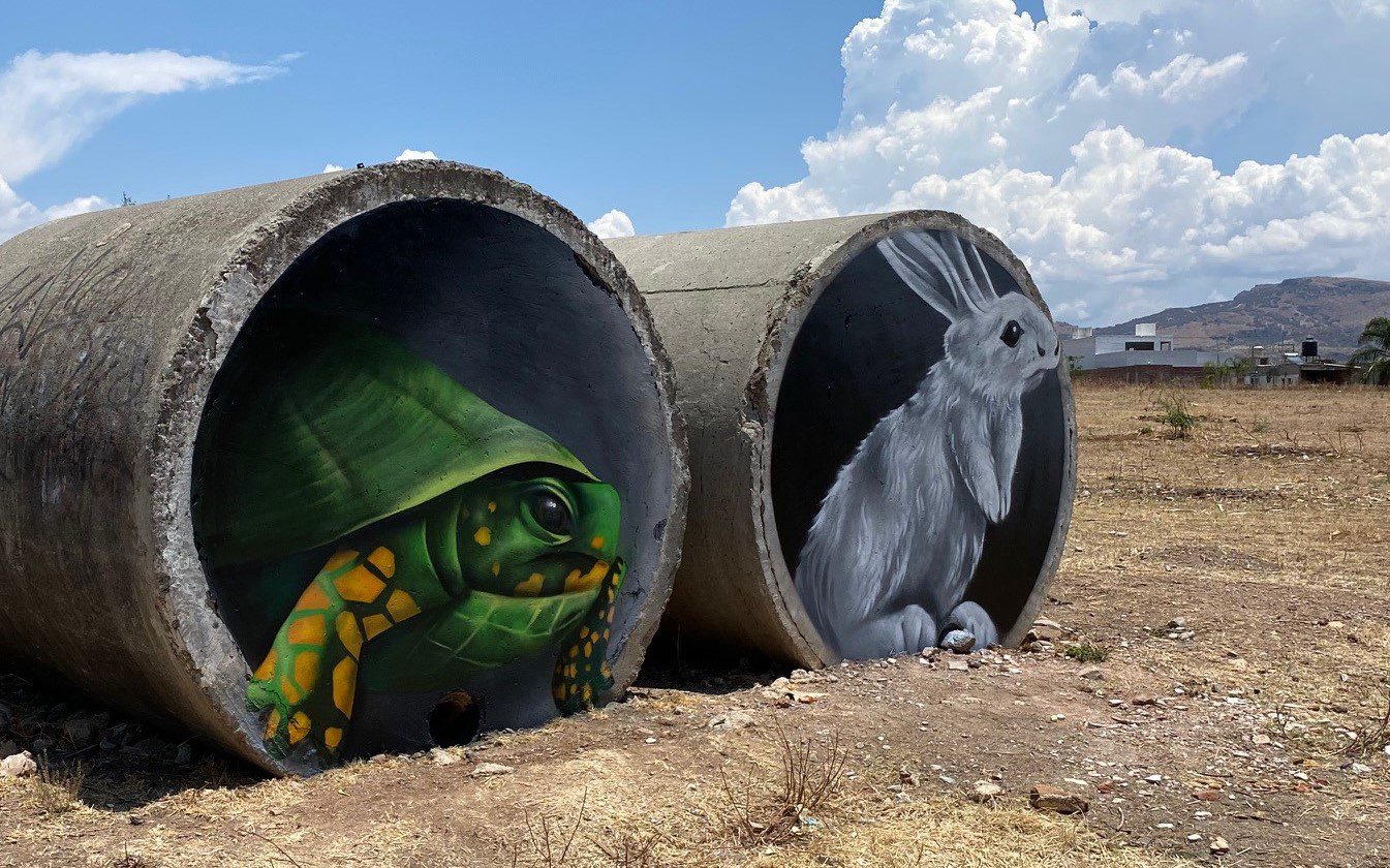 A turtle and rabbit painted on cement pipes.