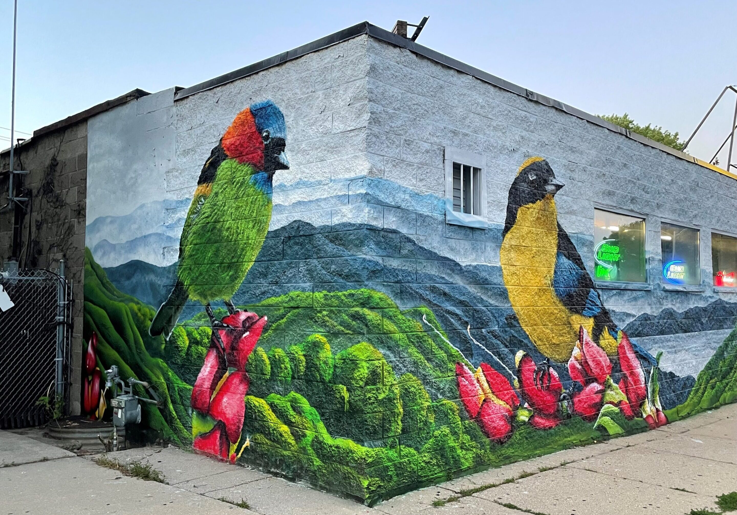 A mural of birds on the side of a building.