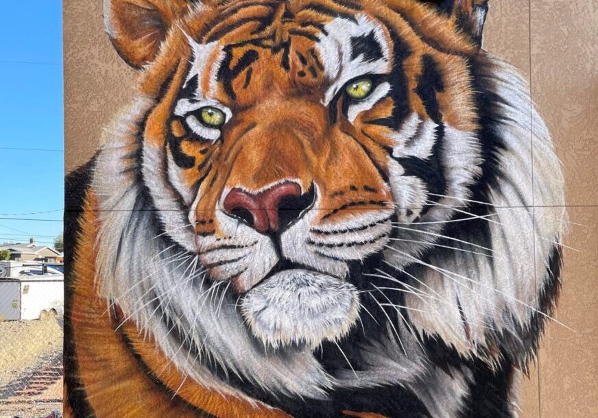 A painting of a tiger on the side of a building.